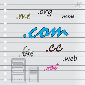 Com escollir un domini