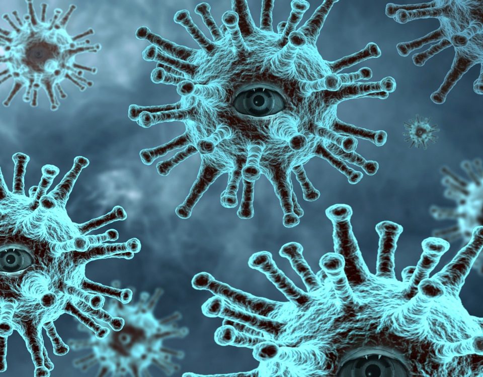 consells ciberatacs coronavirus