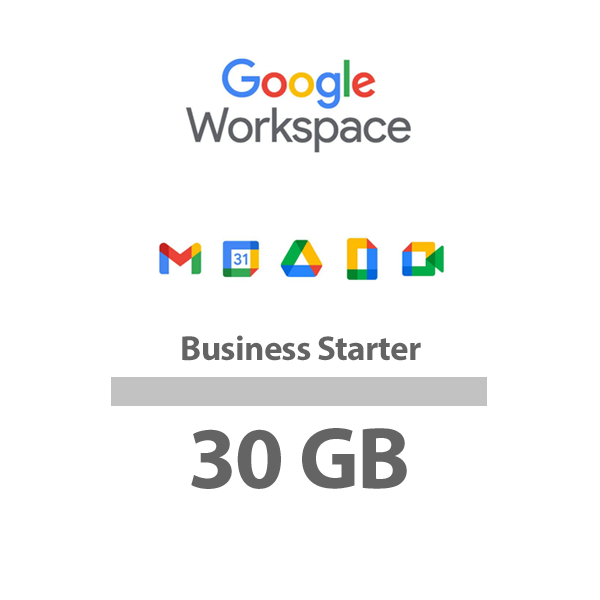 Google Workspace Business Starter anual 30GB